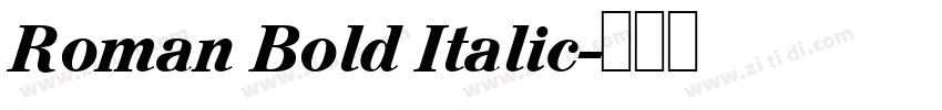 Roman Bold Italic字体转换
